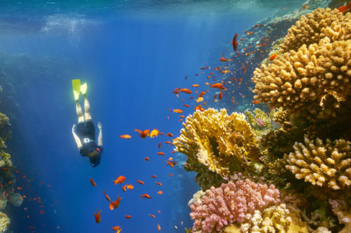 Egypte Dahab ADN Voyage Blue Hole 2