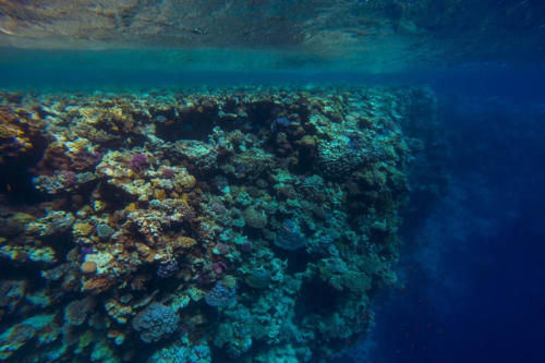 Egypte Dahab ADN Voyage Blue Hole 5