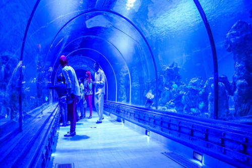 Egypte Hurghada ADN Voyage Grand Aquarium View 1