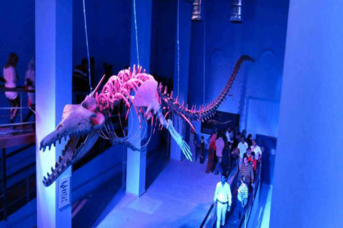 Egypte Hurghada ADN Voyage Grand Aquarium View 2