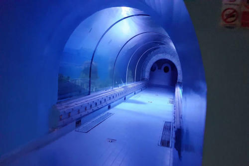 Egypte Hurghada ADN Voyage Grand Aquarium View 4