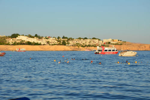 Egypte Hurghada ADN Voyage Snorkeling View 1