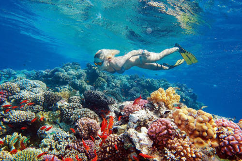 Egypte Hurghada ADN Voyage Snorkeling View 2