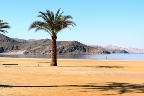 Egypte Taba ADN Voyage View 8